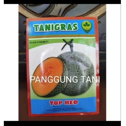 Benih Bibit Melon Orange Jumbo TOP RED F1 Net Kulit Melon tebal, Perawatan mudah Produksi Tinggi. Is