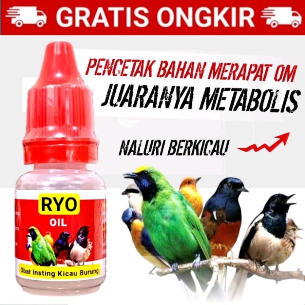 RYO OIL Metabolisme 10 ML Minyak Metabolis Obat Burung Macet Bunyi Vitamin Suplemen Burung Vitamin P