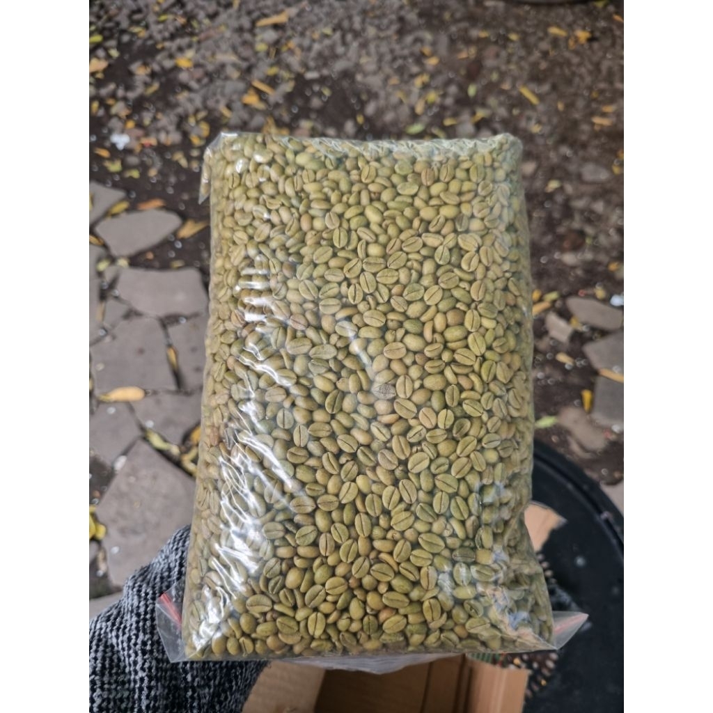 Liberika / Kopi Nangka Green Bean