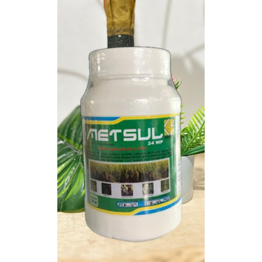 METSUL 24 WP KEMASAN 200 GR HERBISIDA SISTEMIK