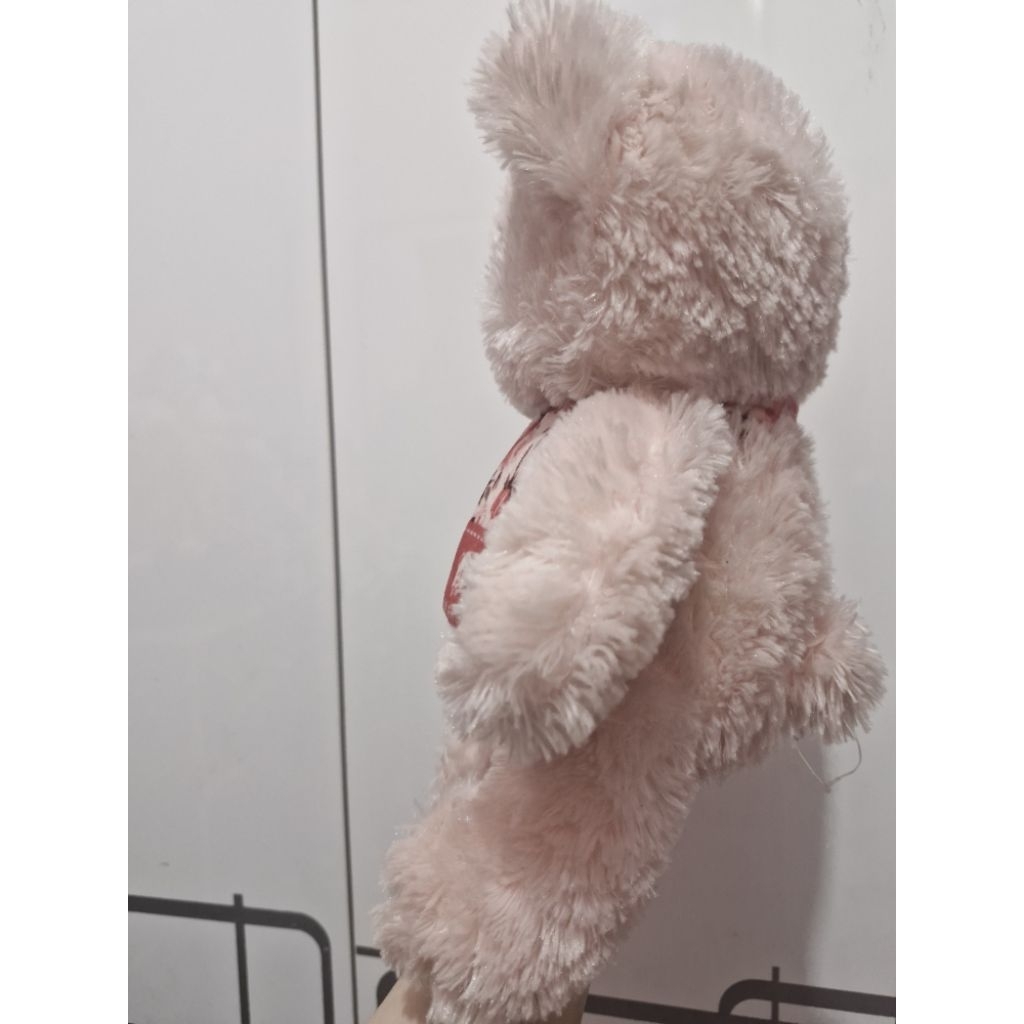 BONEKA BERUANG ISTANA BONEKA