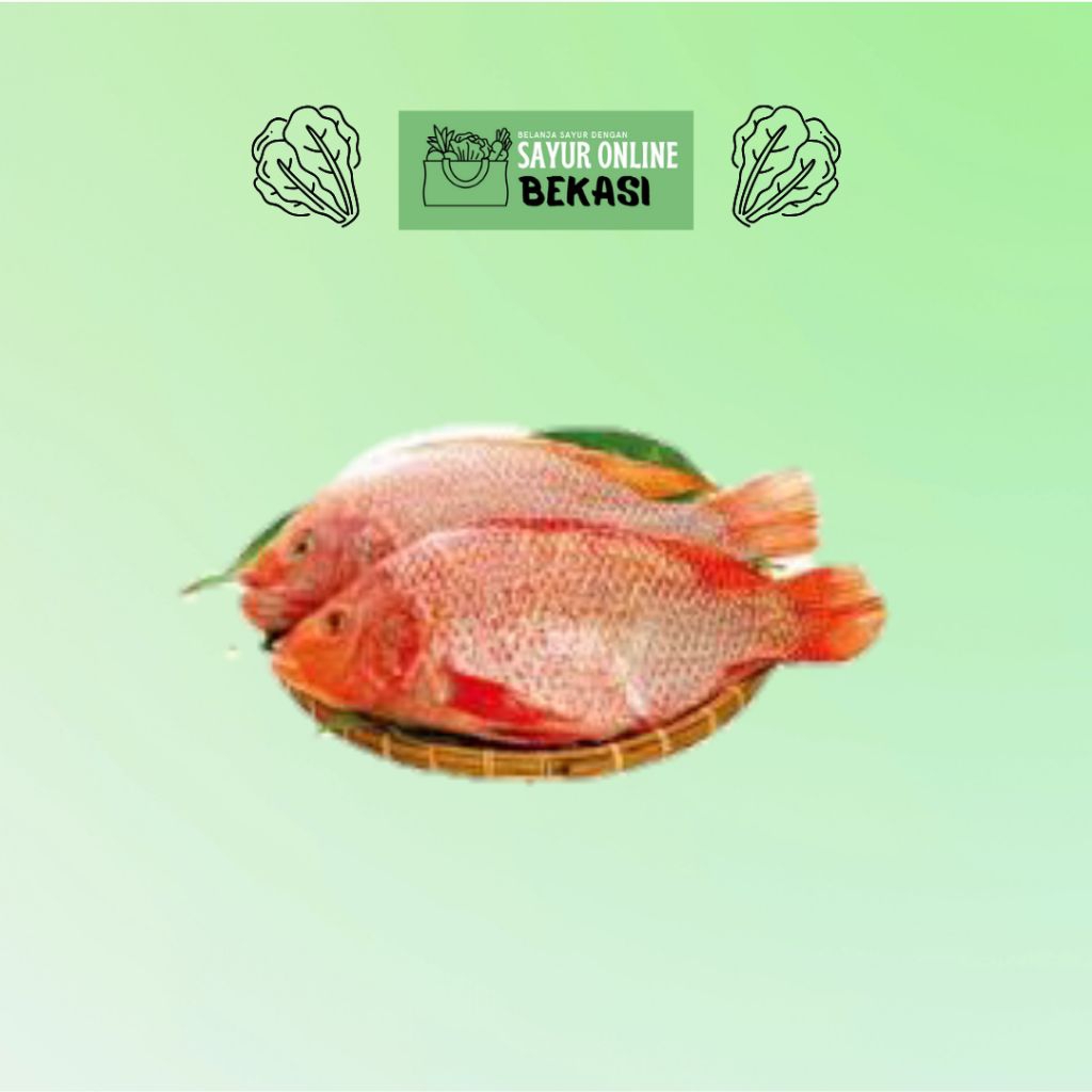 Ikan Nila Merah Segar 500 gram - 1KG, Kota Bekasi