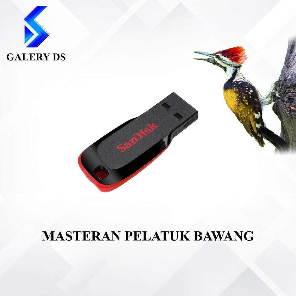 FLASHDISK SANDISK USB + MASTERAN BURUNG PELATUK BAWANG 24JAM