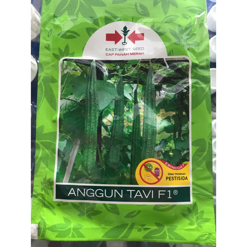 Benih Anggun Tavi 75 Biji (Oyong/Gambas)