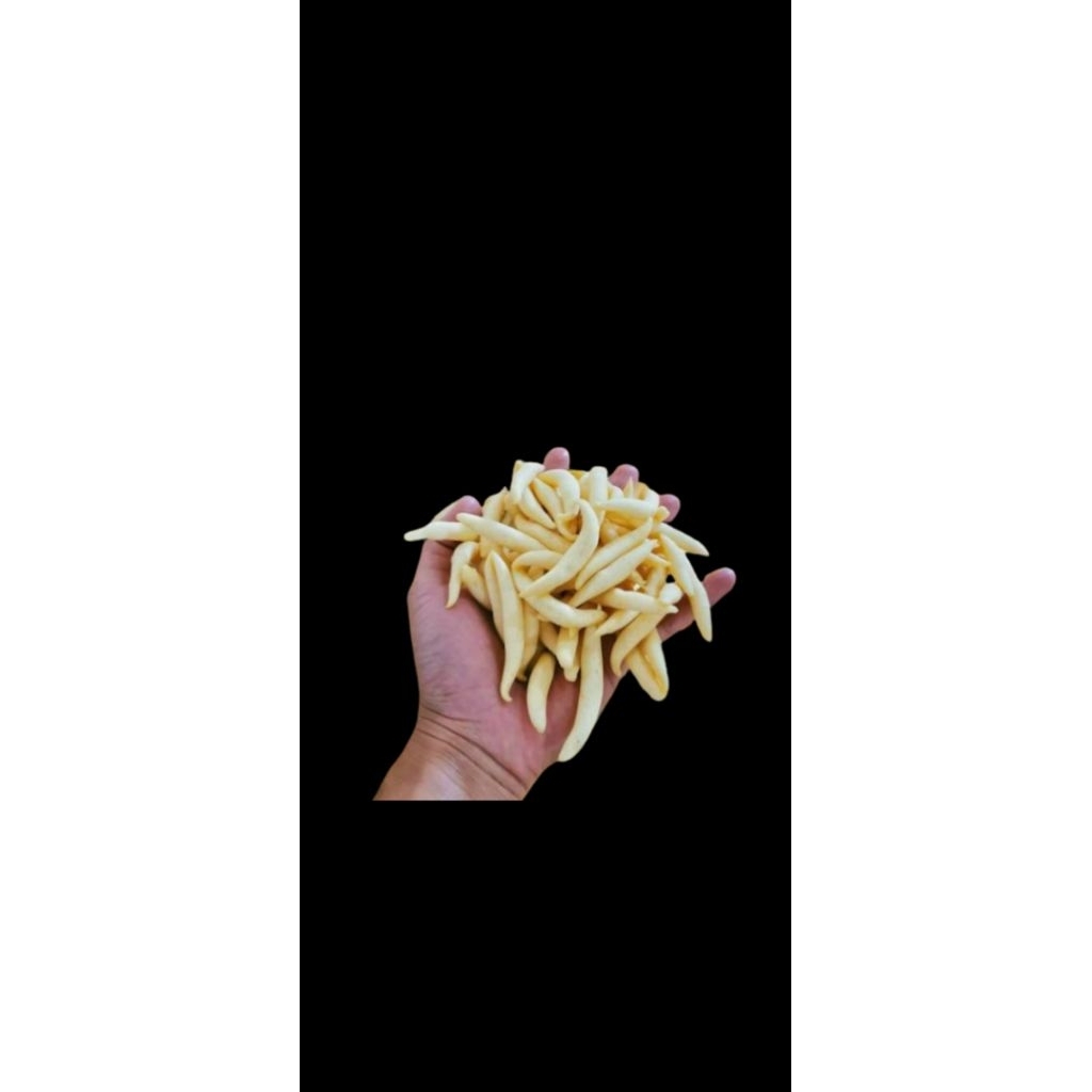 Telur_gabus.aroma.ikan.tenggiri