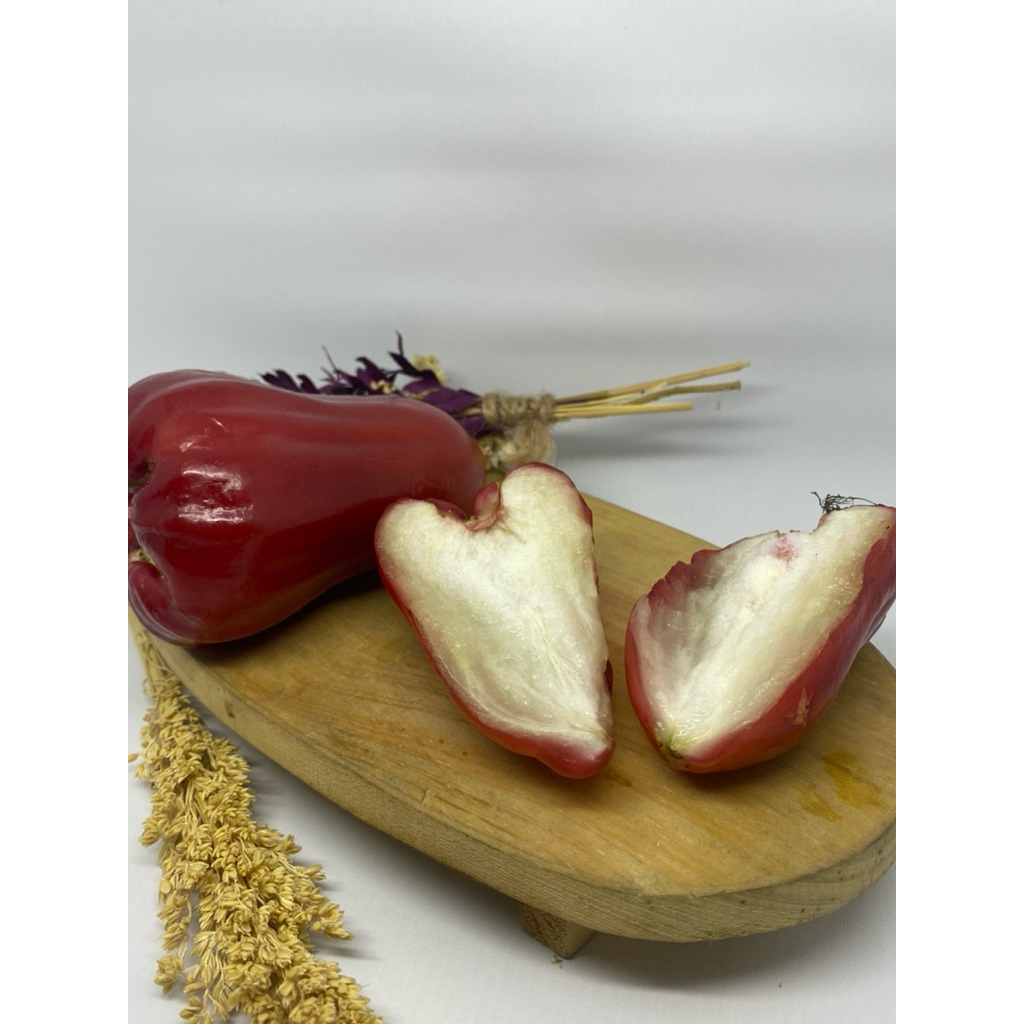 [TERLARIS] Buah jambu citra buah jambu air buah jambu air madudelj