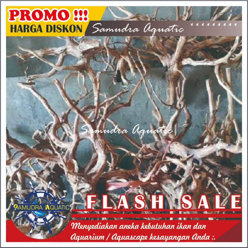 DEKORASI AQUARIUM AQUASCAPE | KAYU RASAMALA AQUASCAPE | AKAR RASAMALA AQUASCAPE