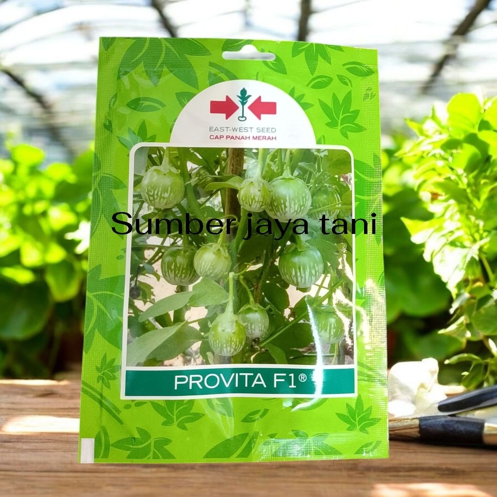 benih terong lalap Provita F1 400butir - Cap Panah Merah