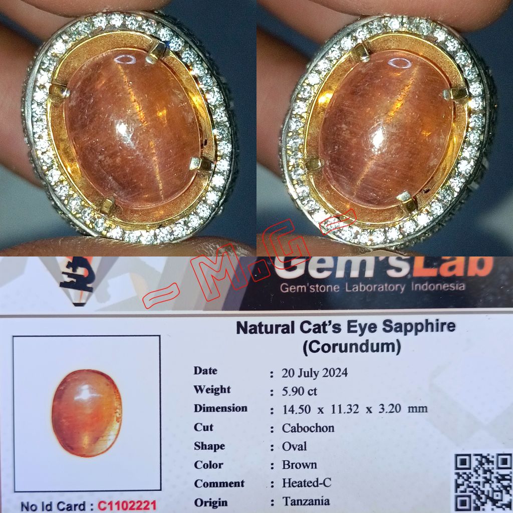 NATURAL CAT'S EYE SAPPHIRE BROWN MEMO GLI LAB