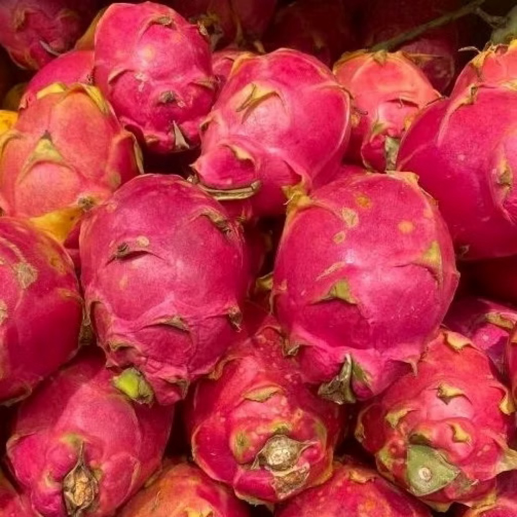 Buah Naga Putih Super Manis 1kg