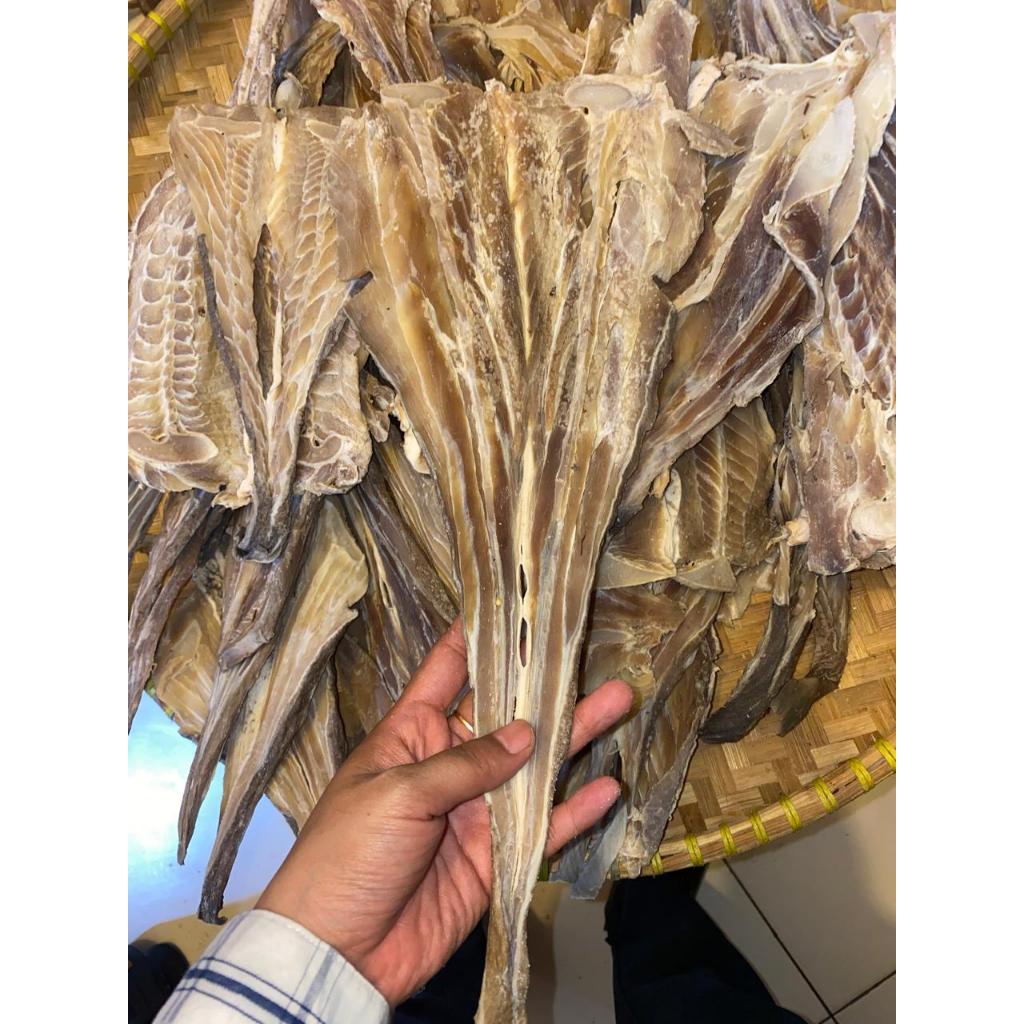 IKAN ASIN PARI ALAMI SEMI TAWAR