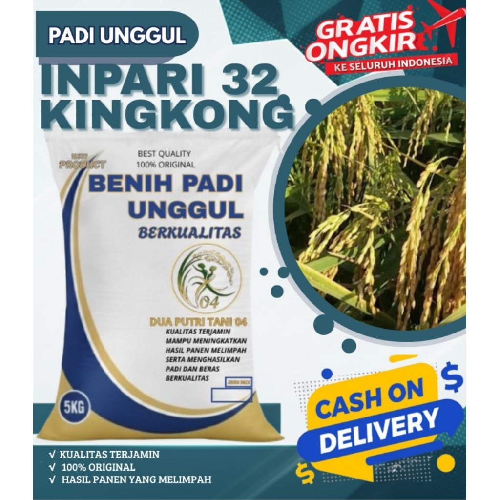 benih PADI INPARI 32 KINGKONG