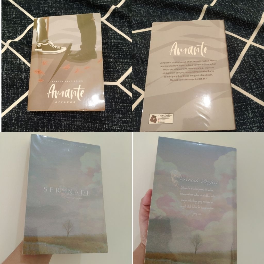 PRELOVED TAEKOOK FANBOOK MURAH