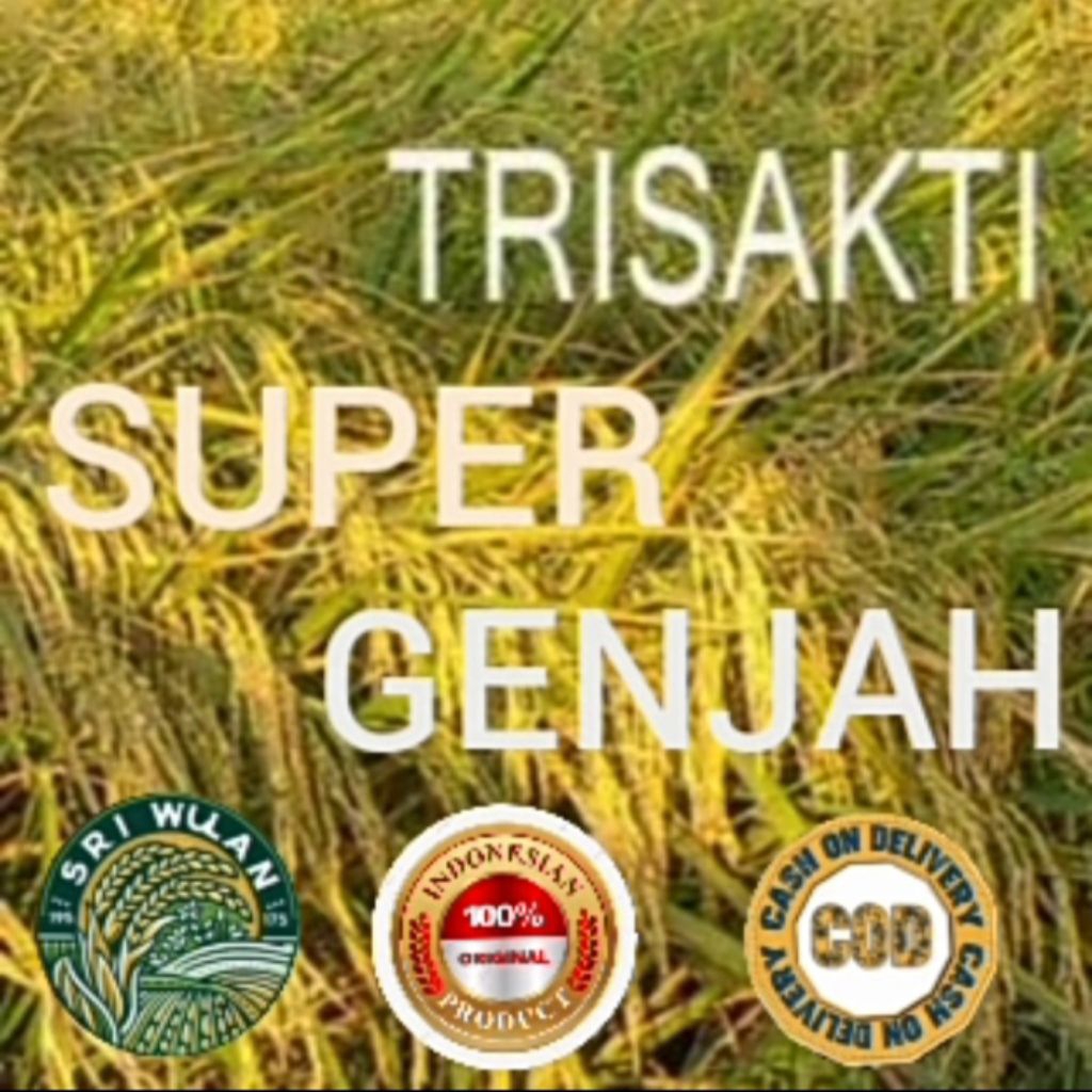 BENIH PADI KUALITAS UNGGUL TRISAKTI SUPER GENJAH KEMASAN 5KG