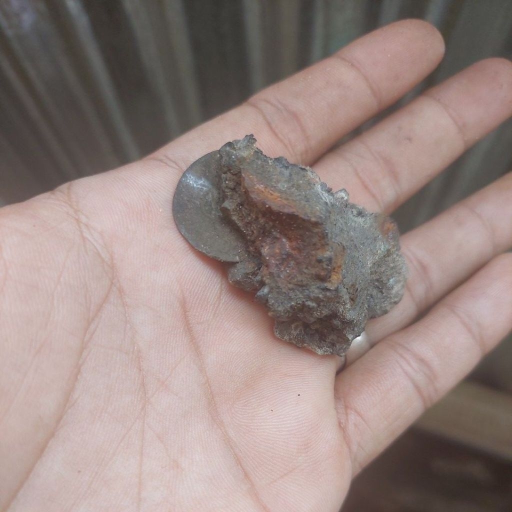 koin voc holland 1732 dalam batu sedimen