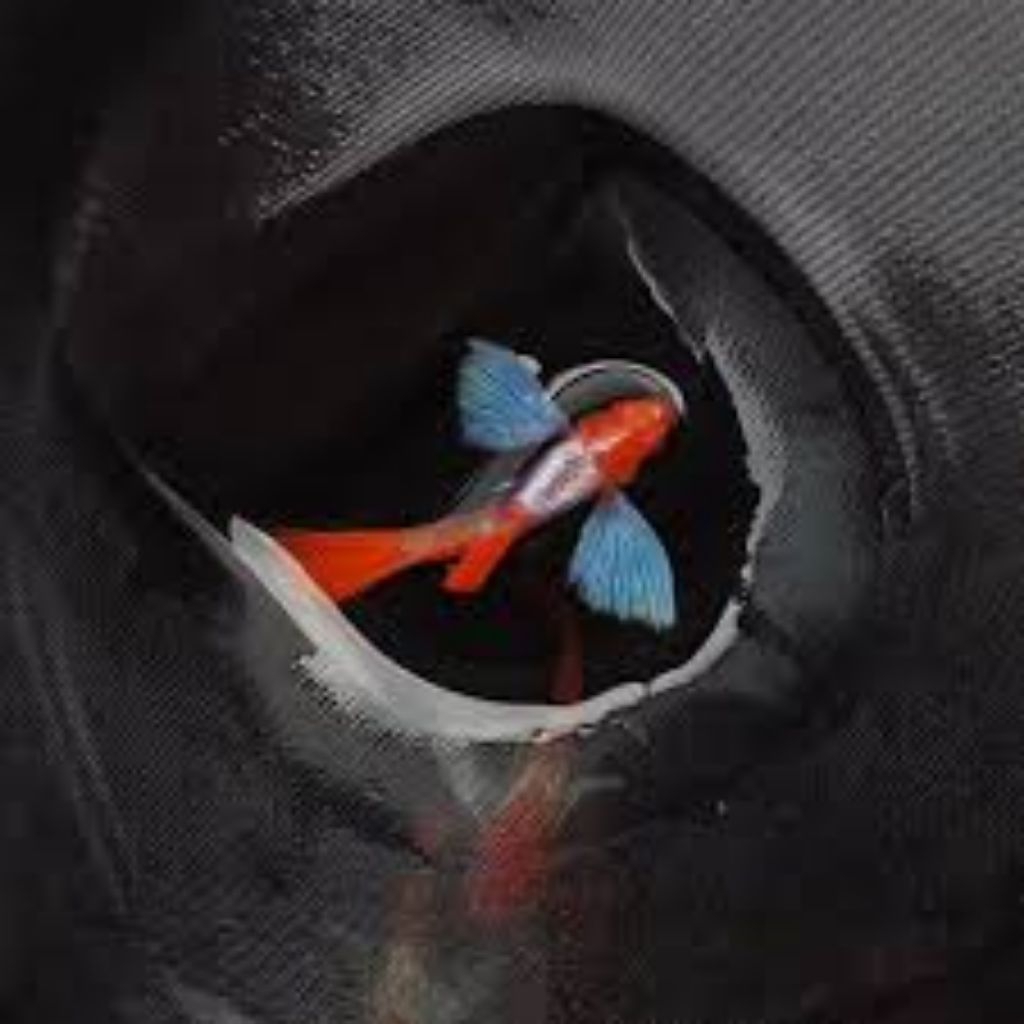 pembersih lantai prtde albino(satu pasang)