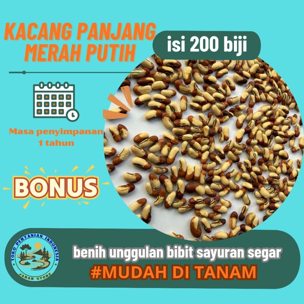 BISA BAYAR DI TEMPAT ~ 200 biji benih unggul kacang panjang merah putih | kacang panjang pertiwi mud