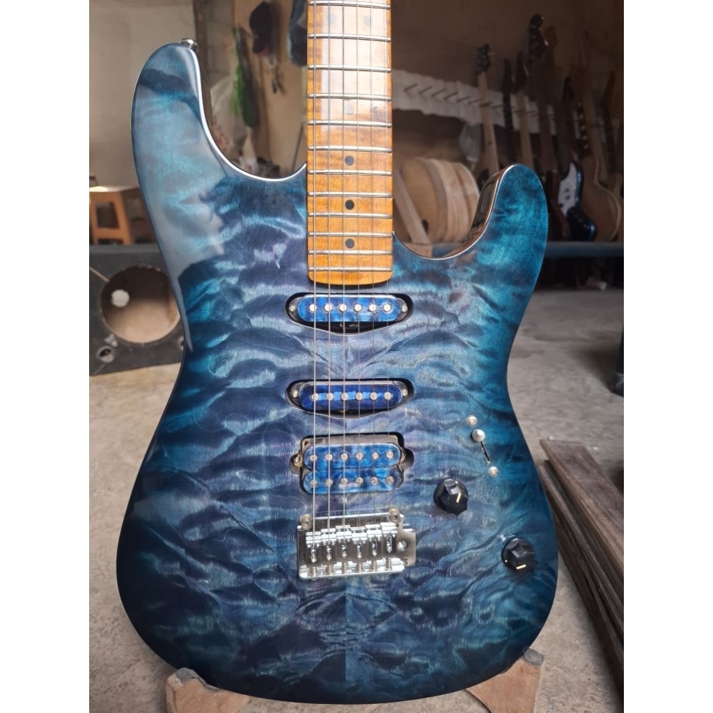 stratocaster hss/fender stratocaster/gitar custom