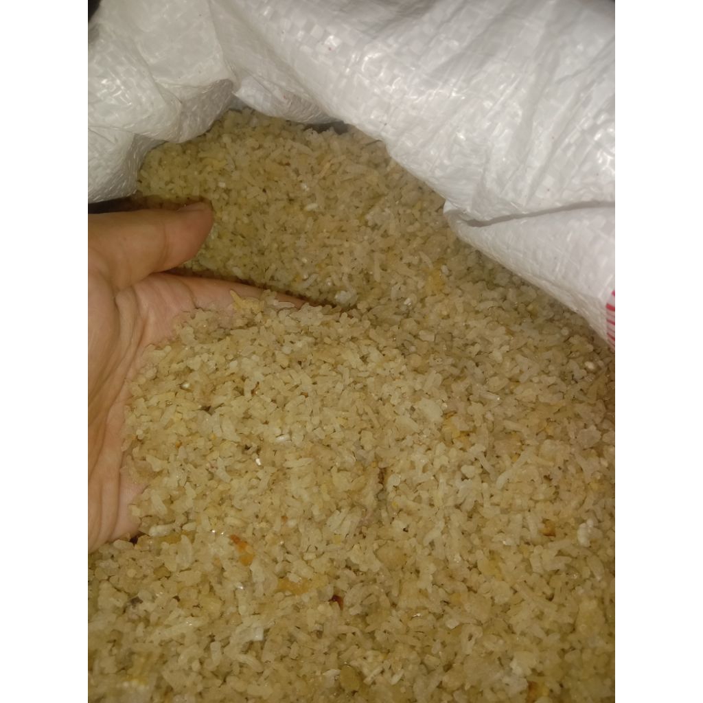 Nasi Aking pakan ternak