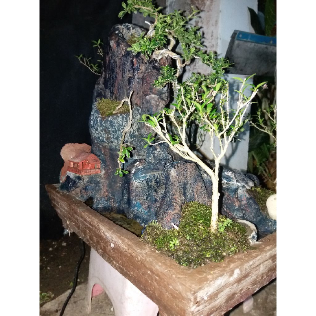 miniatur air terjun+bonsai