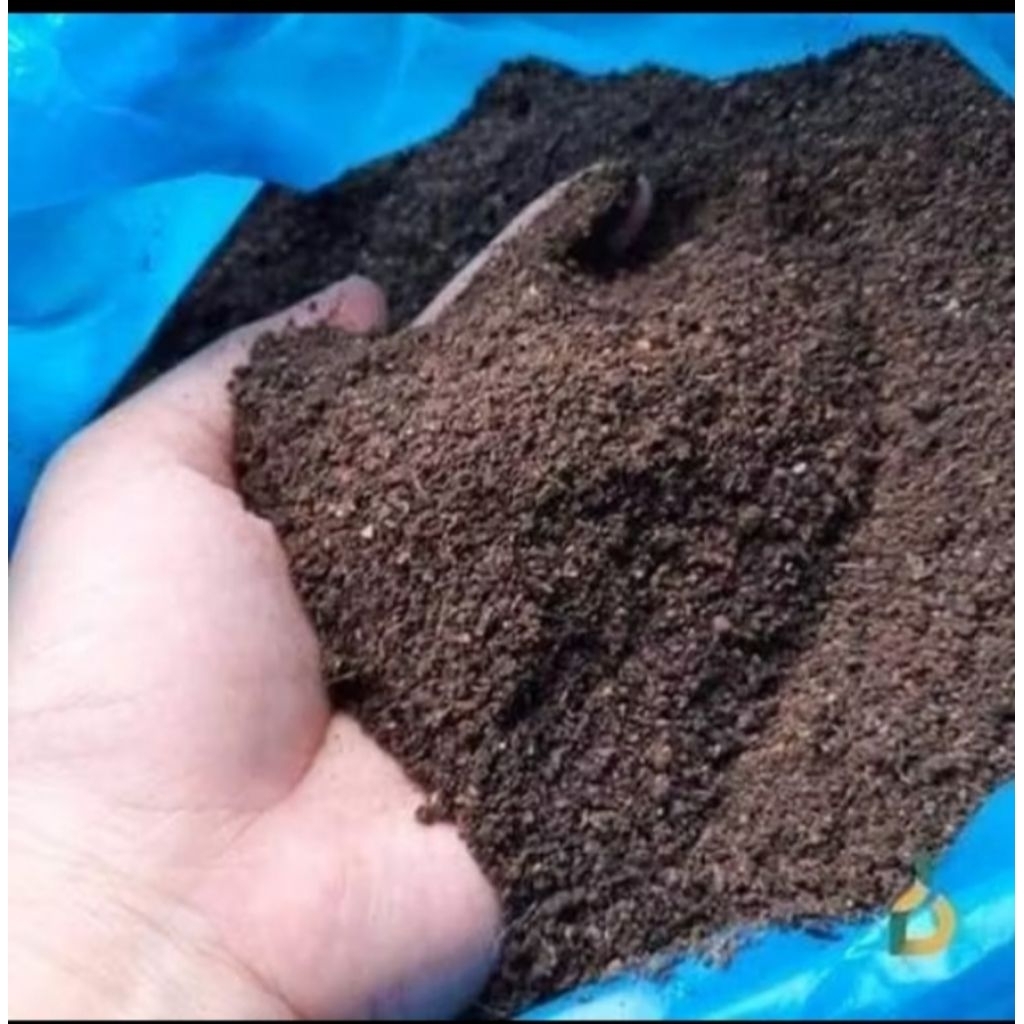 kohe kambing giling fermentasi 2 kg