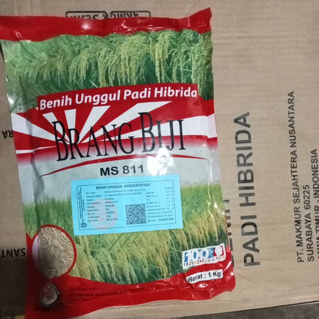 Benih Padi Hibrida Brang Biji MS 811