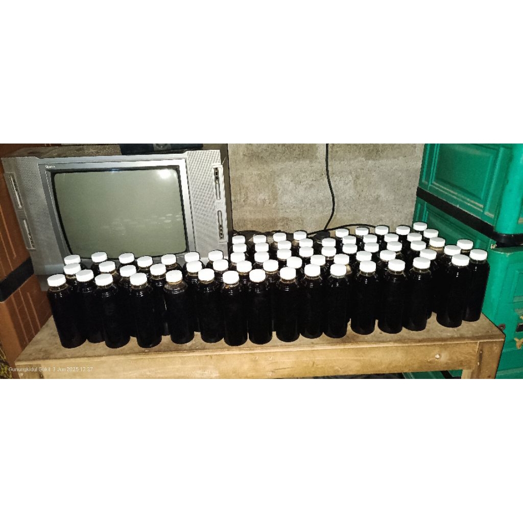 madu murni (tawon gong)