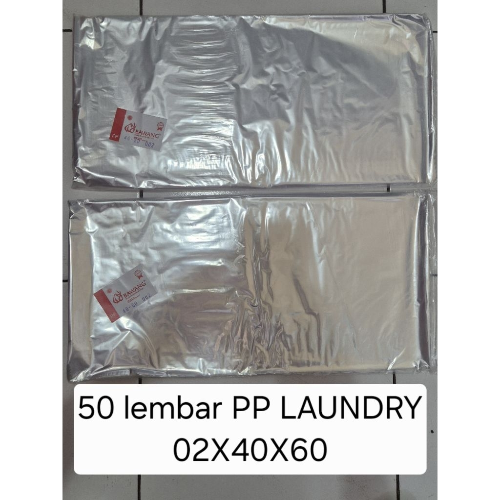 plastik laundry PP Bawang  02x40x60