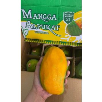 mangga alpukat 5kg