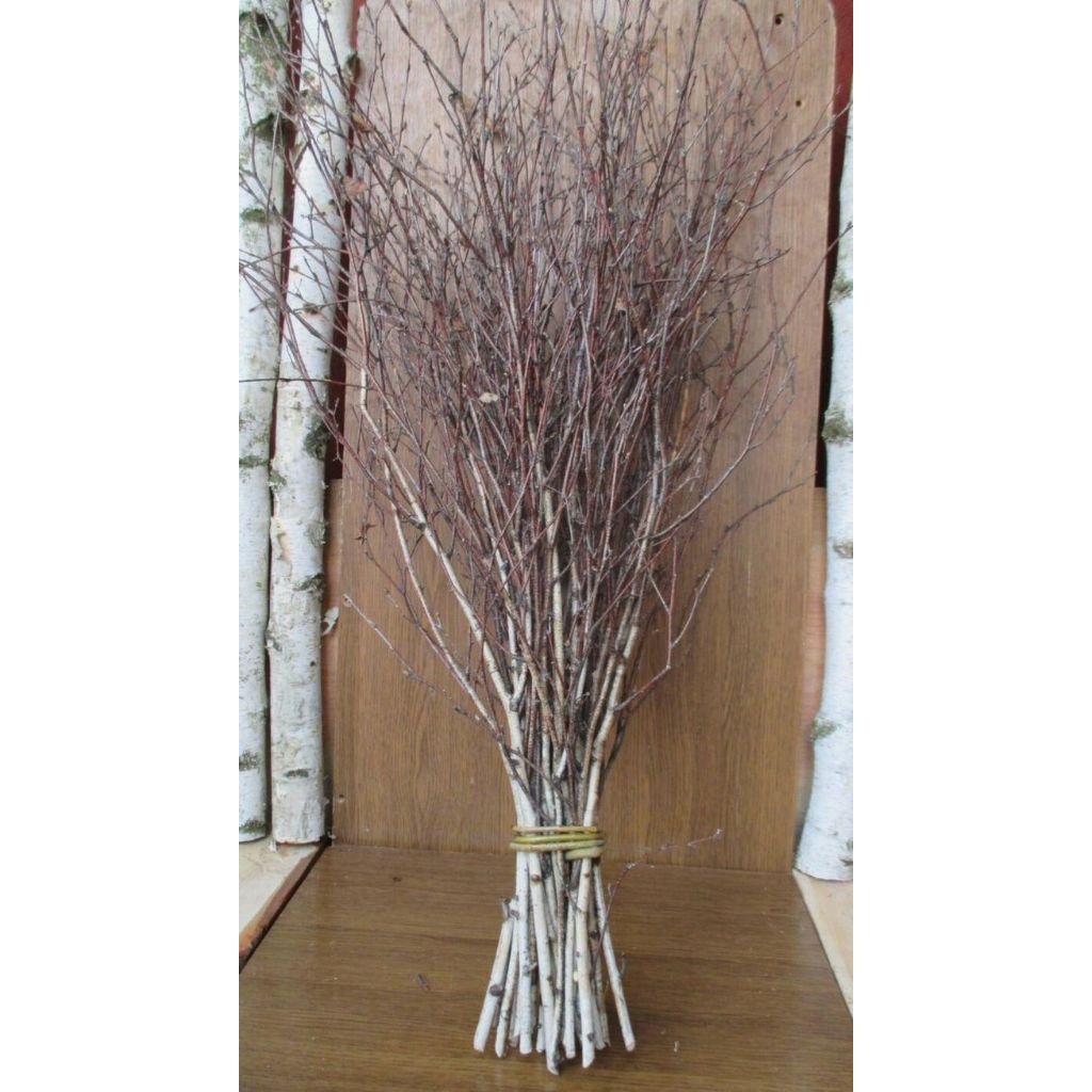 Ranting Pohon Kering 5 pcs Ranting Kayu Kering Ranting Kayu Dekoratif Kayu Dekorasi Alami Kayu Asli 