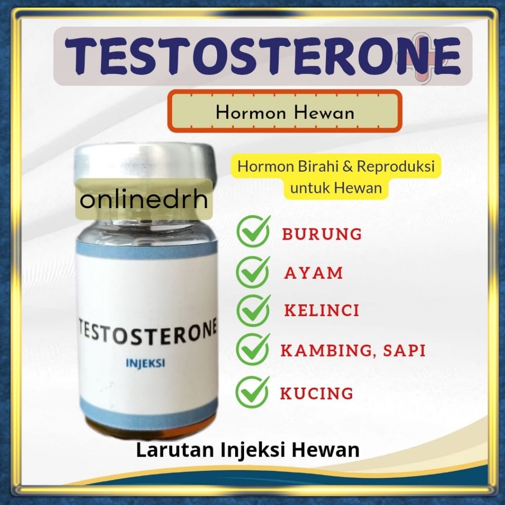 TESTOHORMON Pemacu Birahi TESTOSTERONE - Hormon Burung, Kelinci, Ayam, Sapi, Kambing, Anjing Kucing
