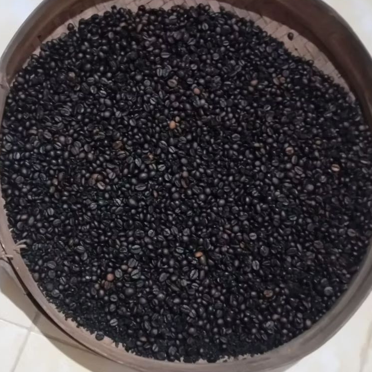 Kopi Robusta Tradisional Pacitan