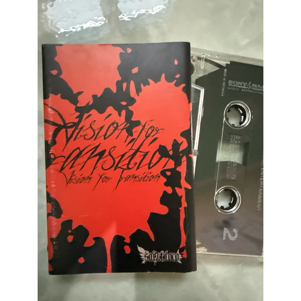 saint loco vision for transition