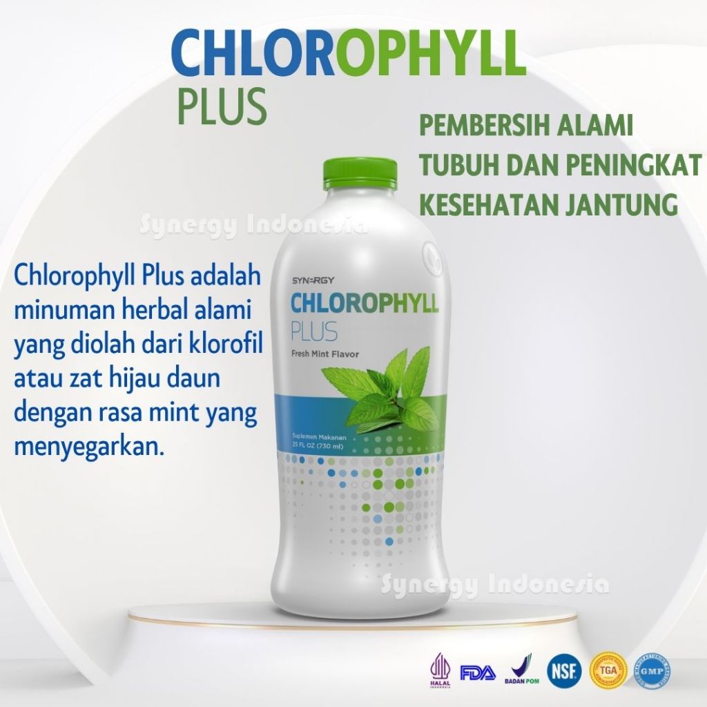 Chlorophyll Plus Synergy Minuman Herbal | Klorofil Pembesih Darah dan Racun Tubuh Alami | Suplemen T