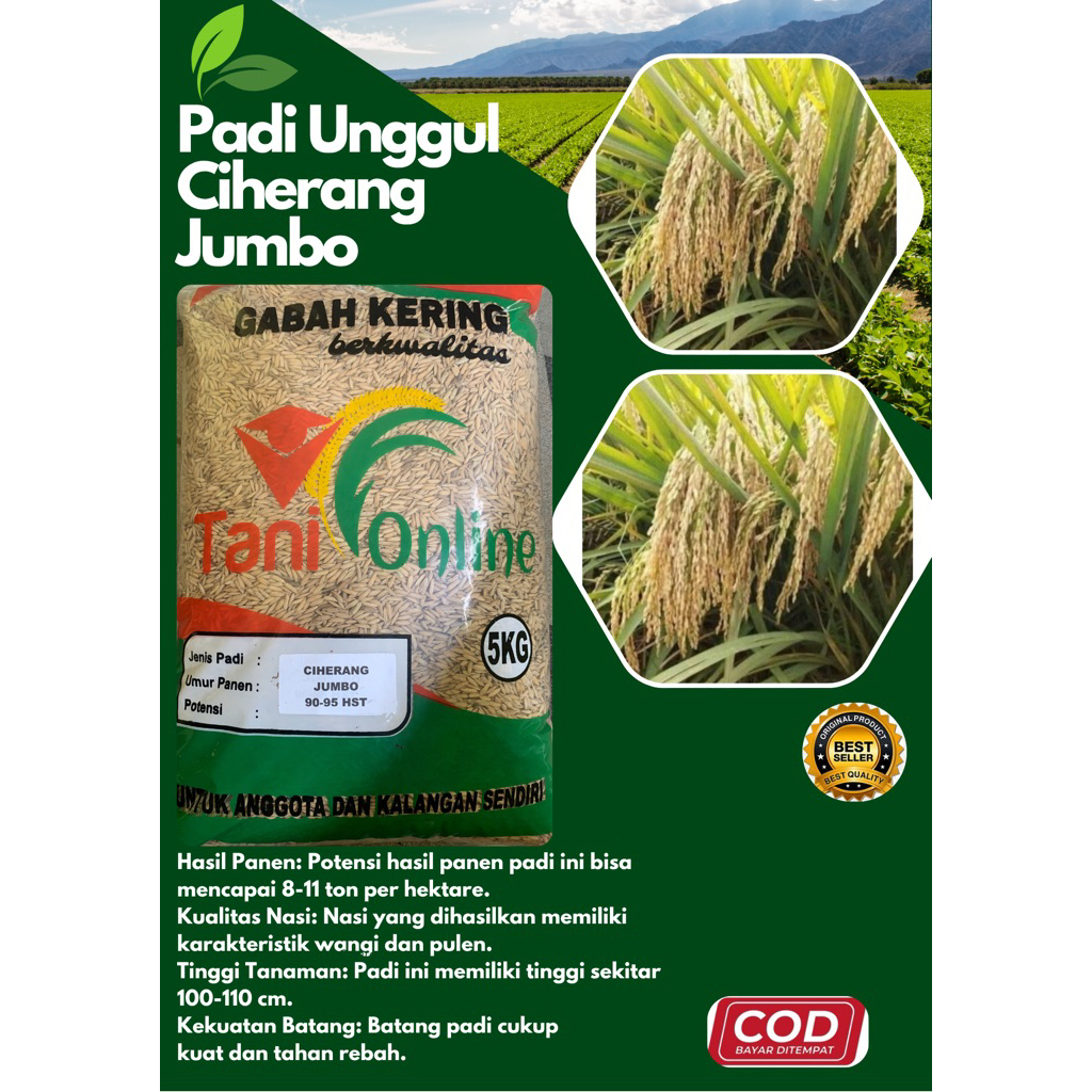 Ciherang jumbo 5 kg