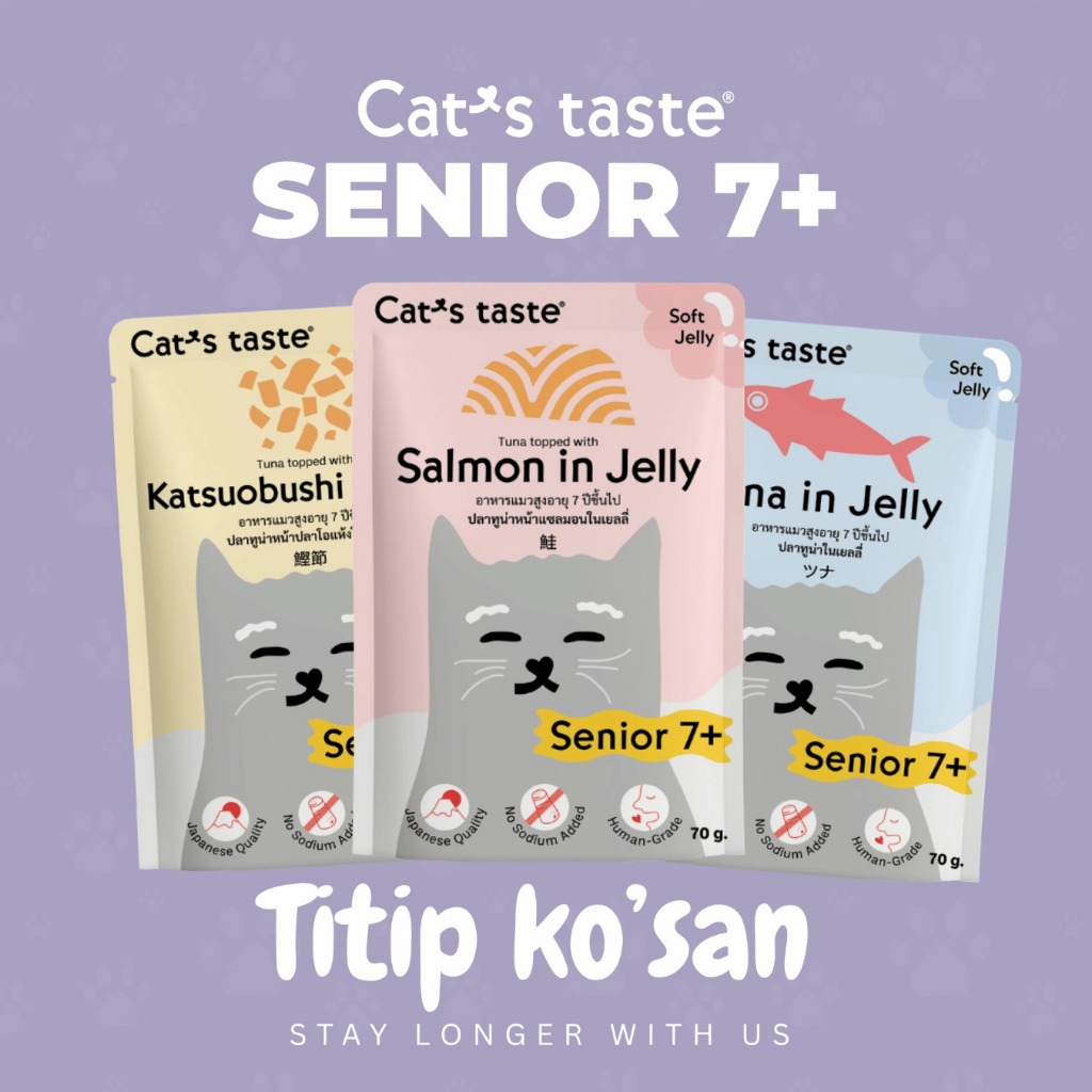 cat food wet food makanan kucing jelly untuk kucing senior by cat taste