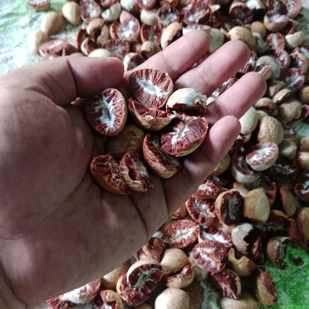 Pinang Muda Kering 500gr - Jambe Muda Kering