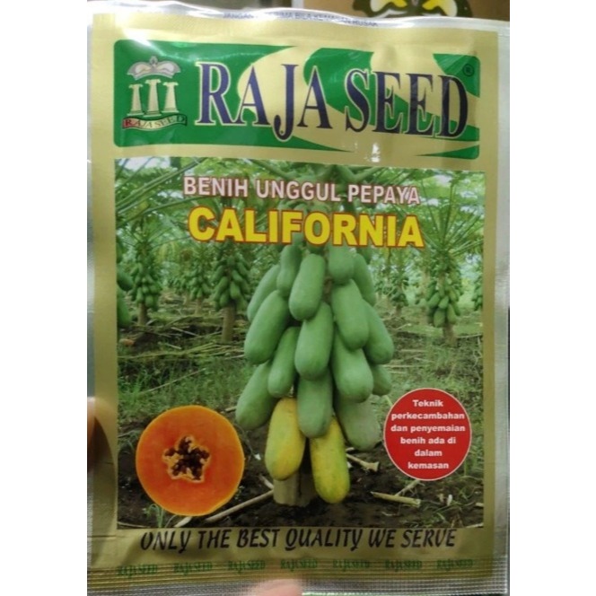 Benih pepaya california 1 gr benih kates raja seed
