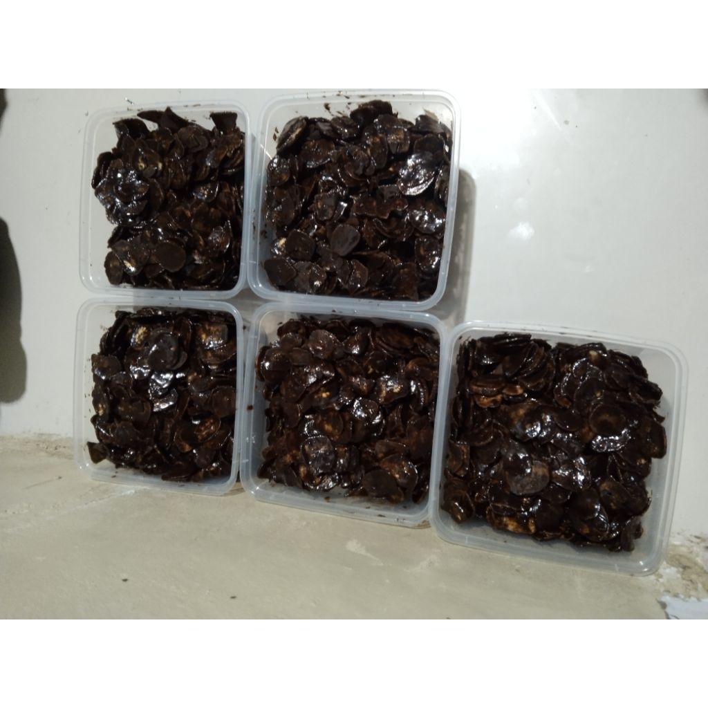 BANANA CHIPS