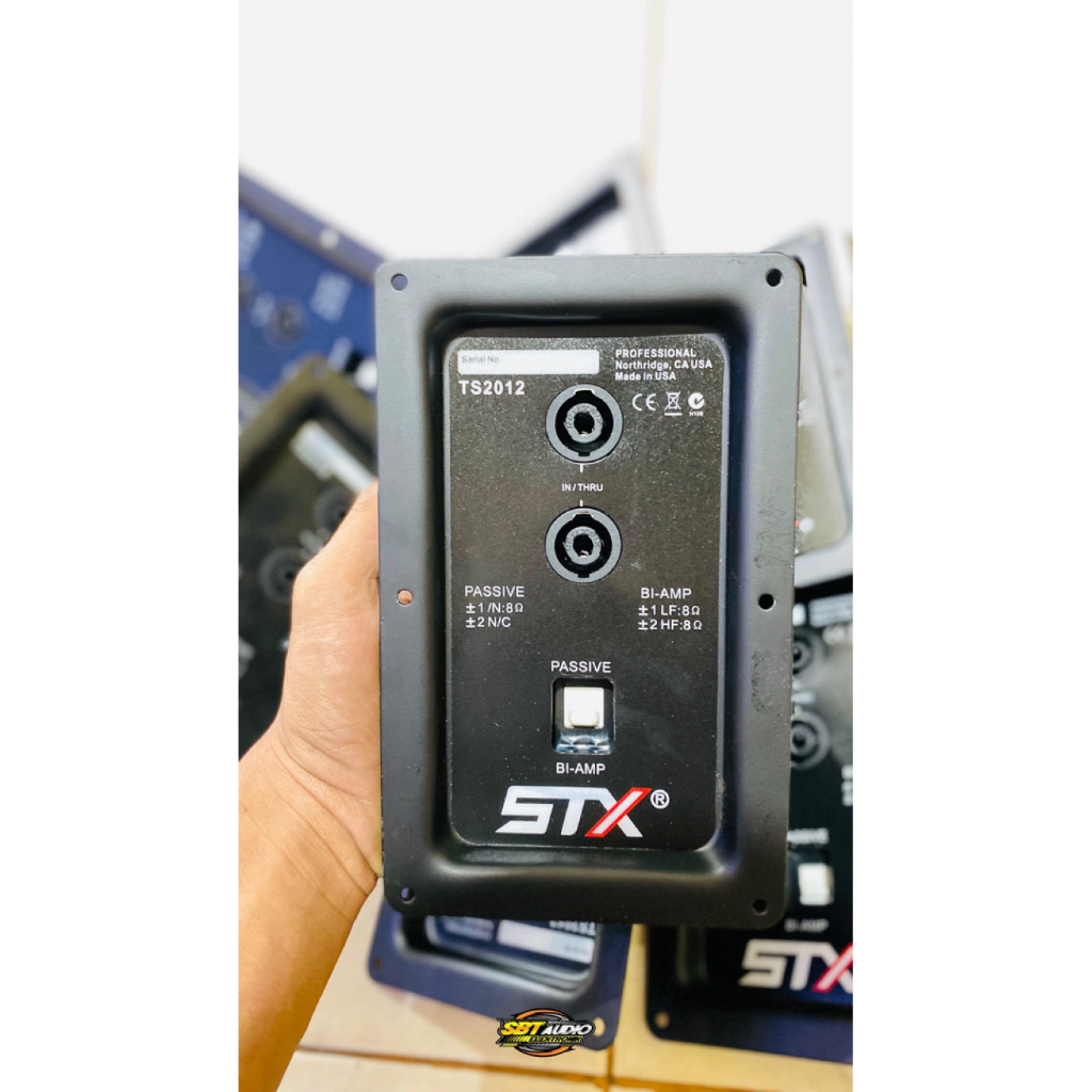 STX Plat Panel speakon with Passive Biamp model TS2012