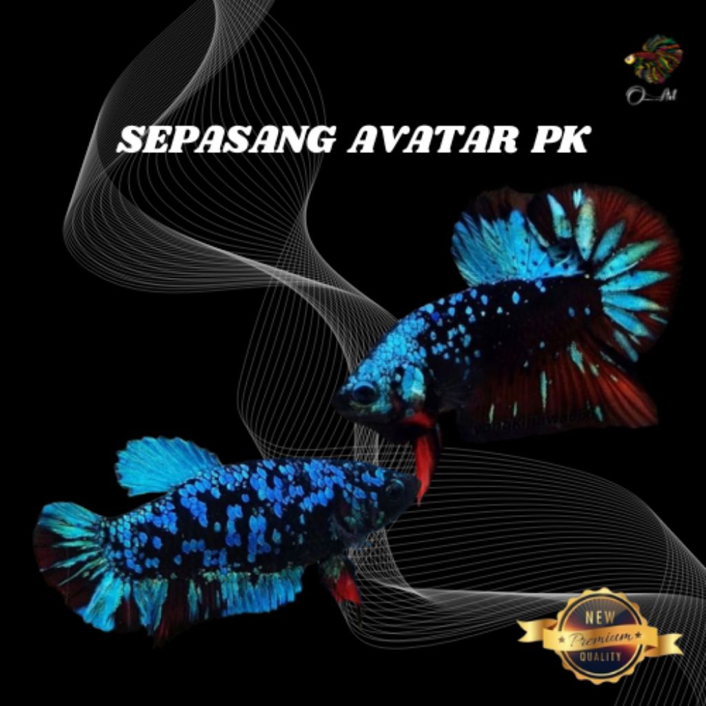 Sepasang PK Avatar Pajangan Aquarium Aquascape