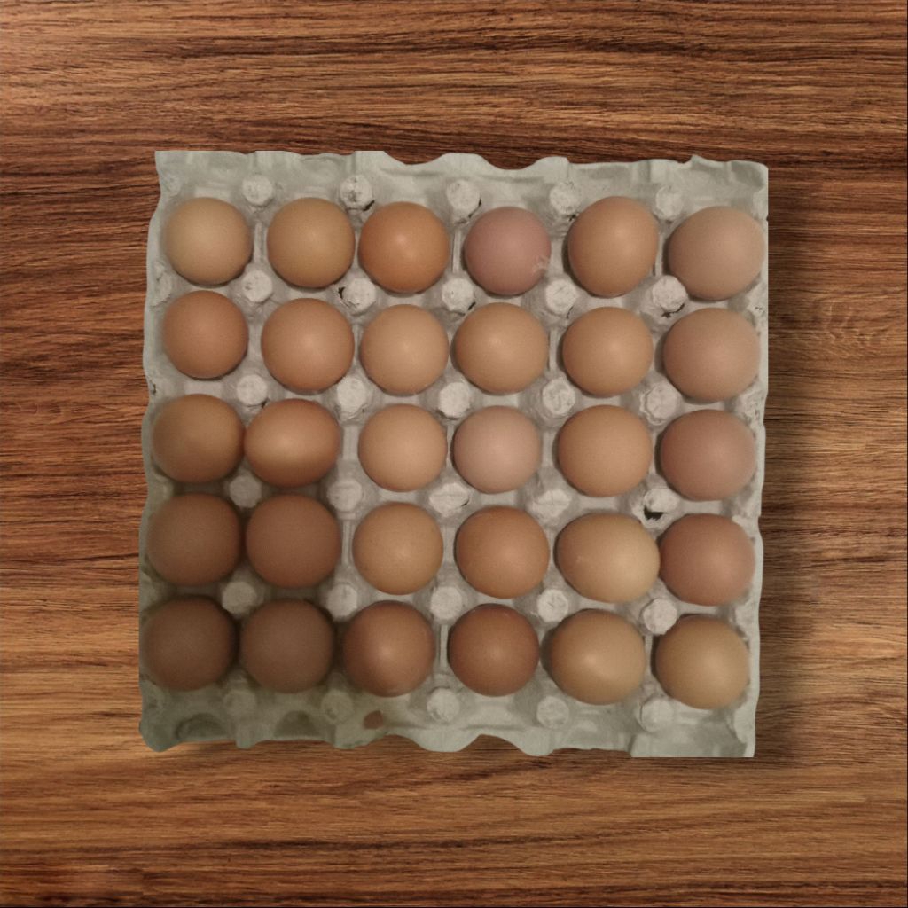 TELUR AYAM NEGERI 1KG