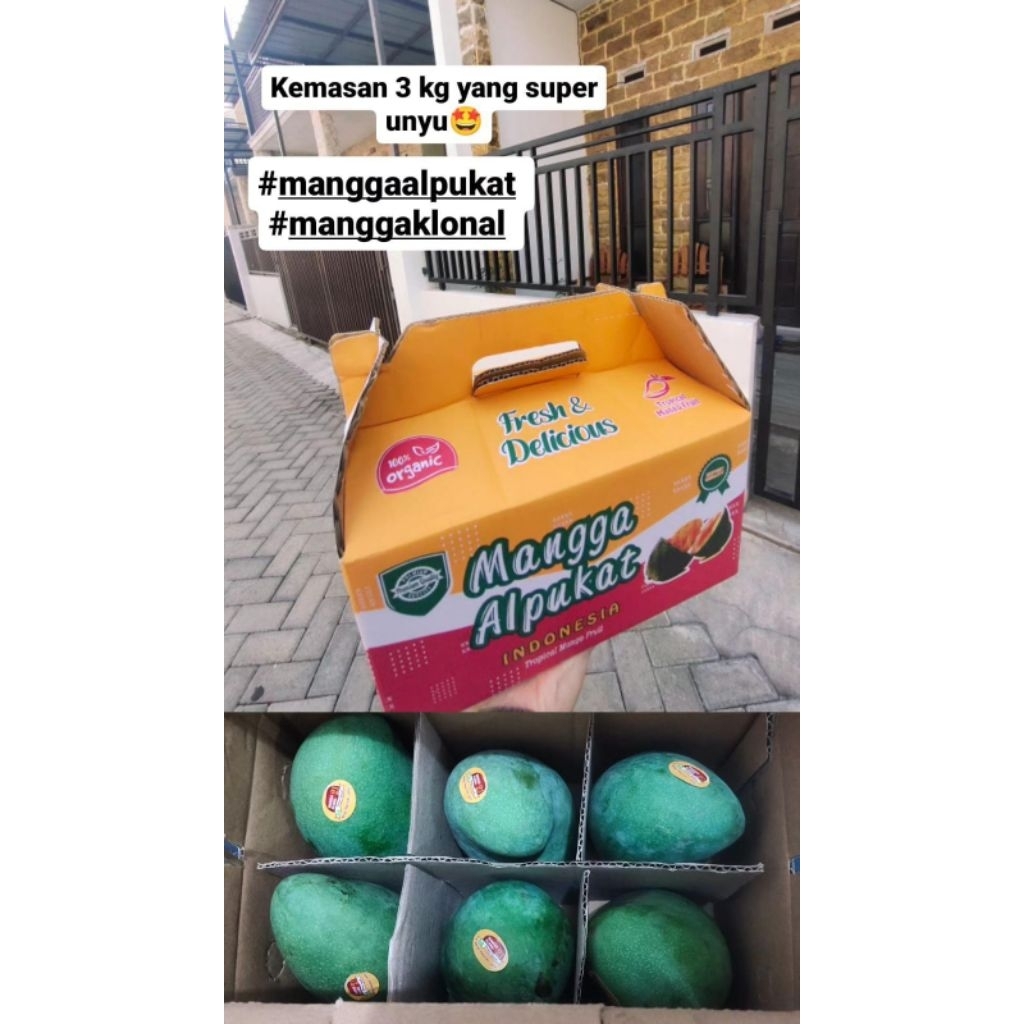 Mangga Alpukat Bangil 3kg