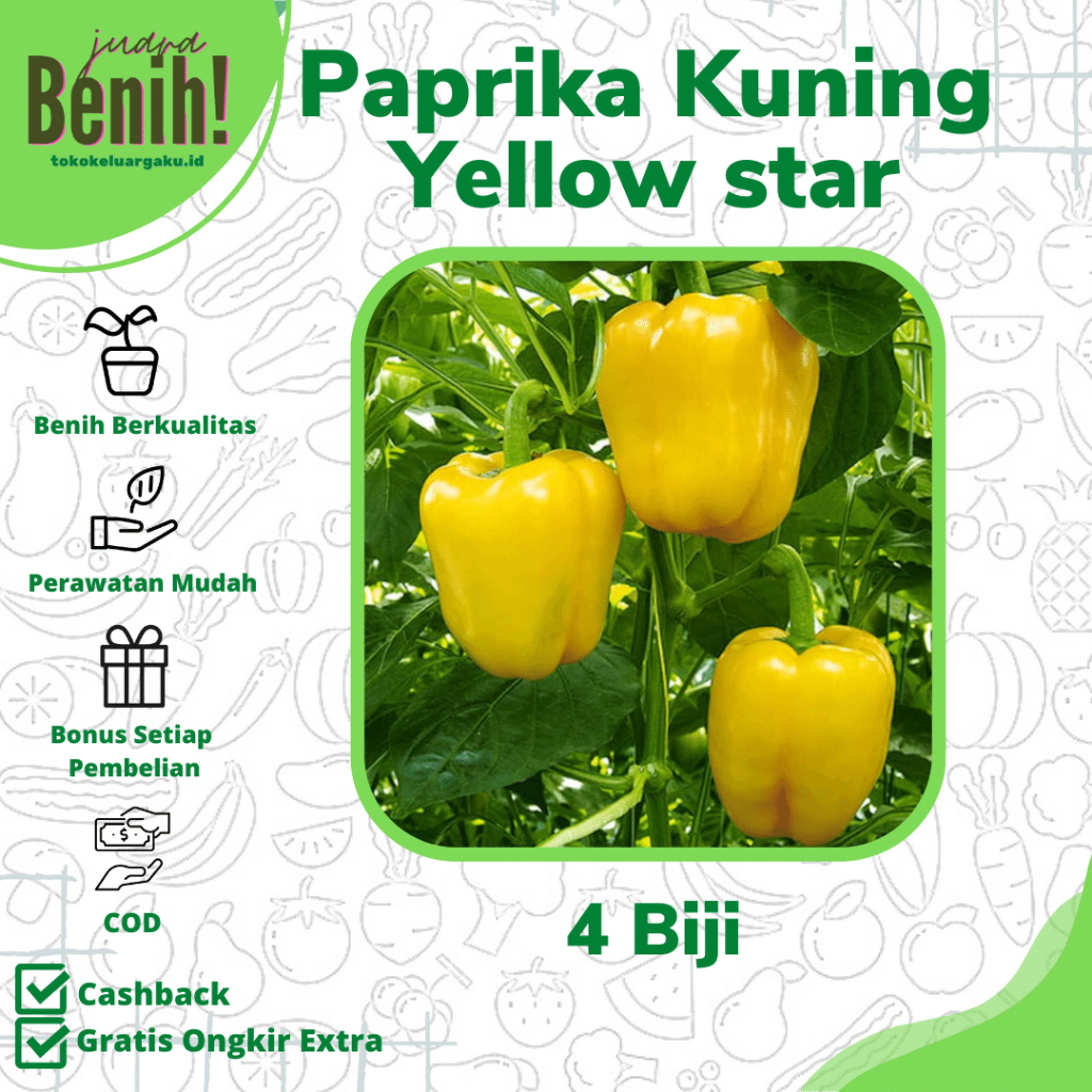 Benih Paprika Kuning F1 Yellow Star Benih Biji Cabe Paprika Cabai Paprika Kuning