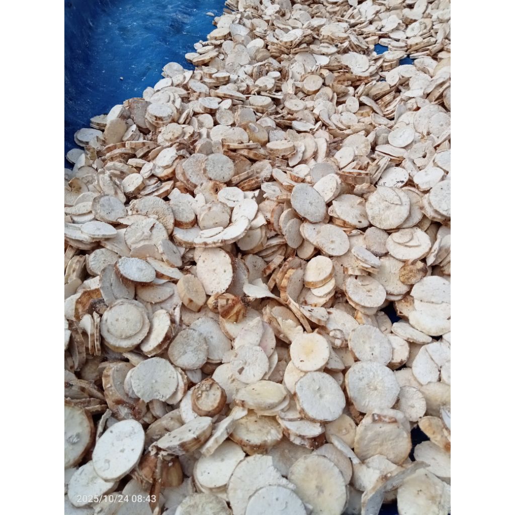 gaplek singkong kering