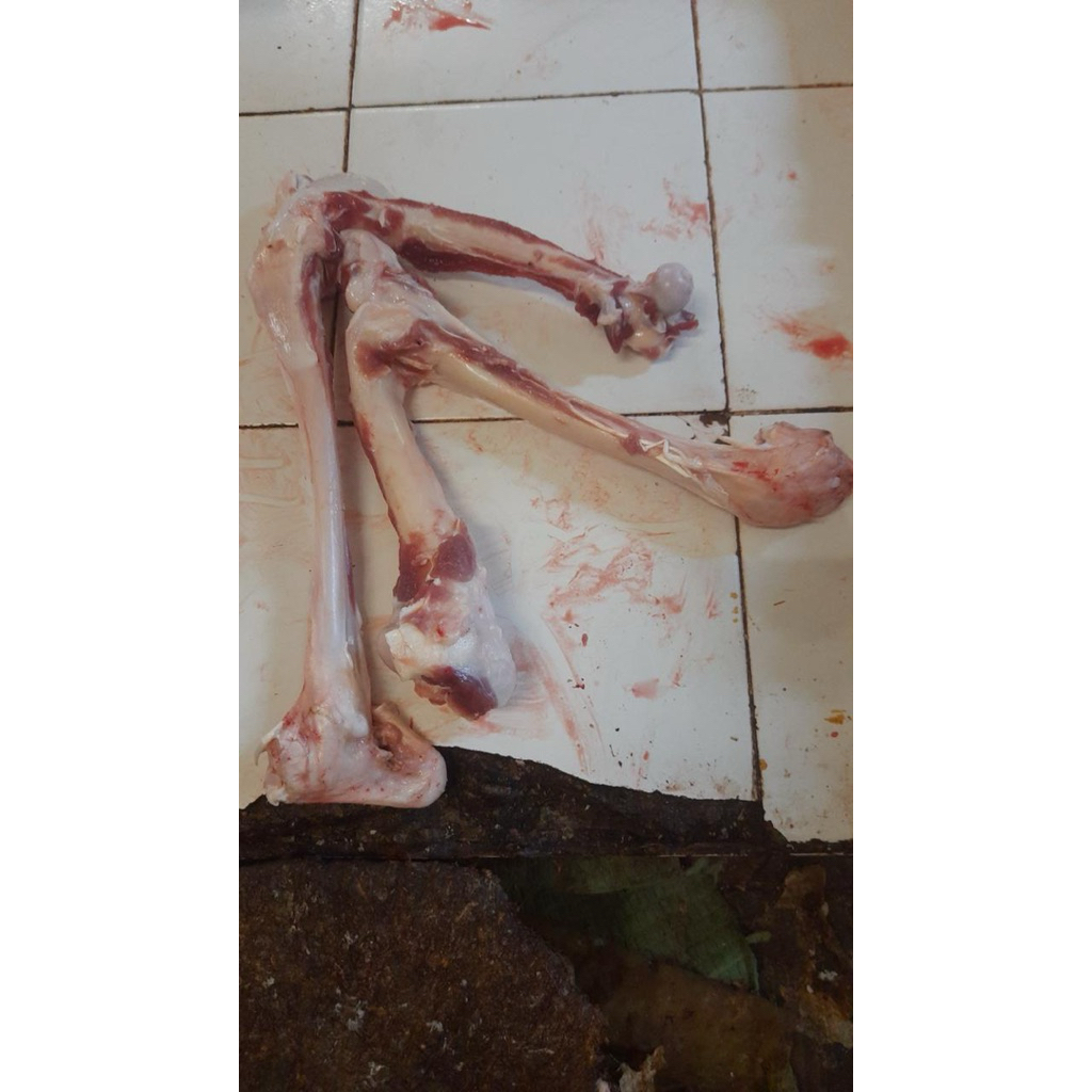 TULANG KAMBING SUMSUM KAMBING 500G