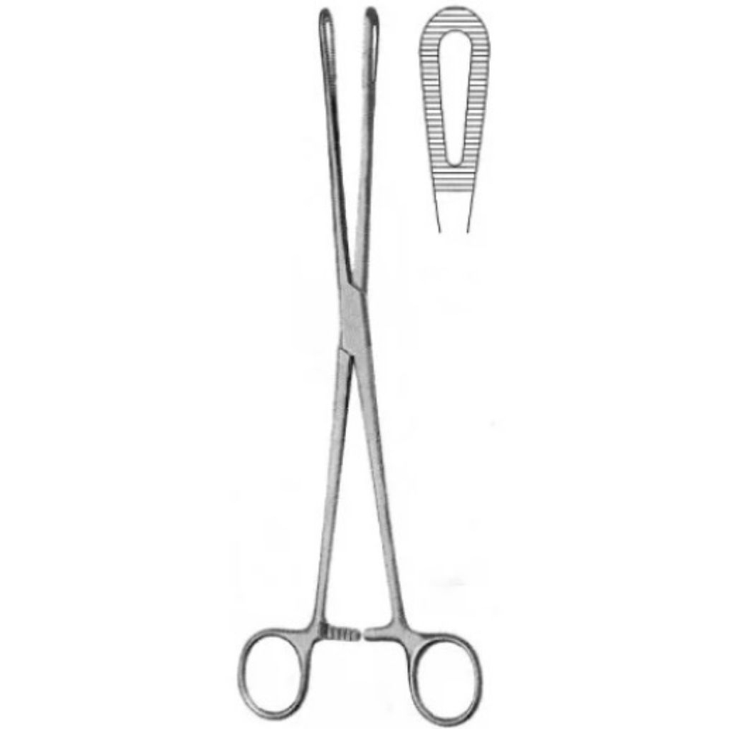Sponge holding forceps 25 cm straight (klem spons lurus 25 cm) - ORIGINAL PMS