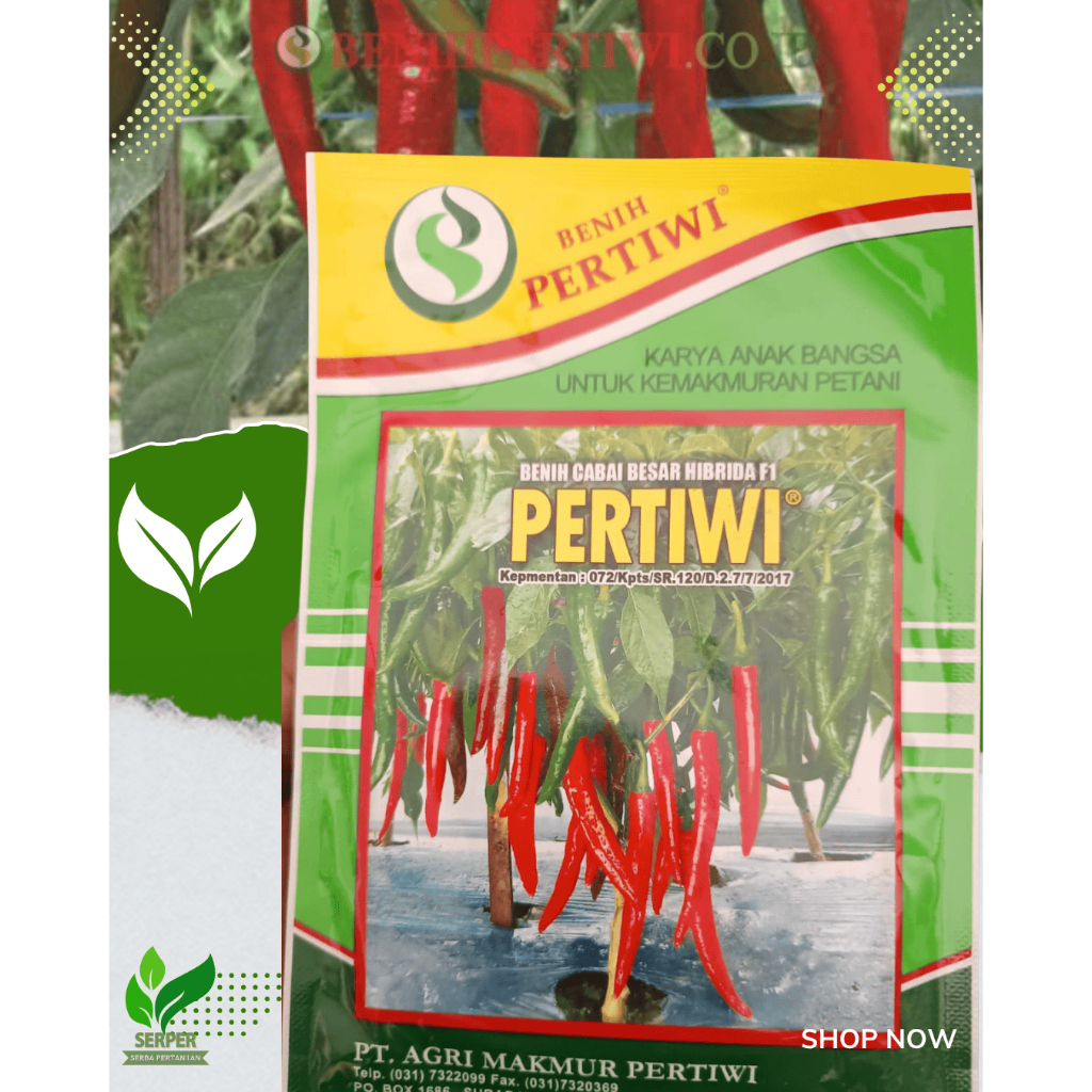 Benih Cabai Besar Pertiwi F1 - 10 gram