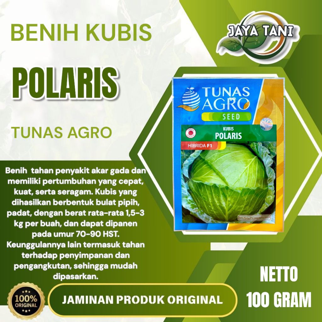 BENIH KUBIS HIBRIDA POLARIS F1 - 100gram