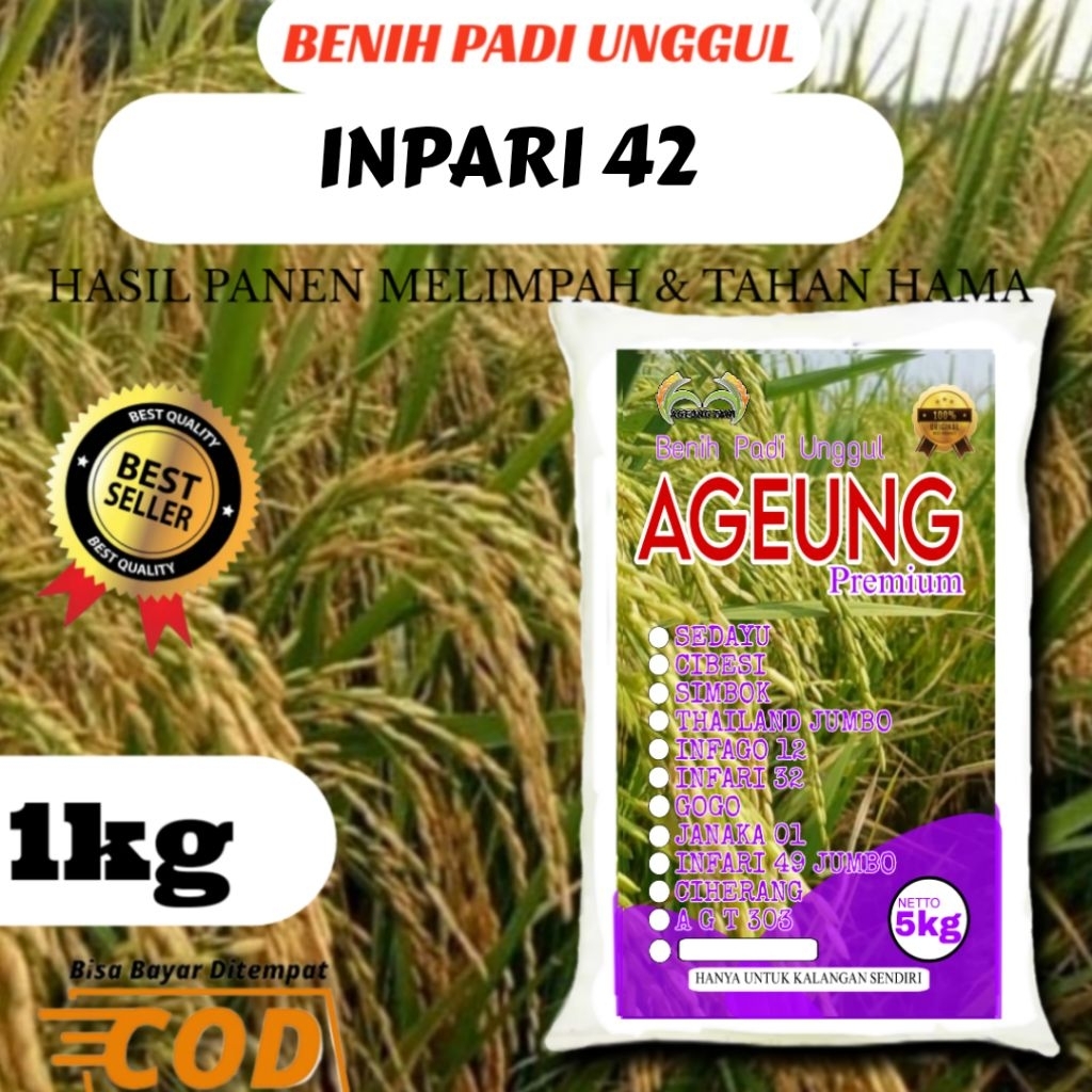 BENIH PADI UNGGUL INPARI 42 KEMASAN 1KG